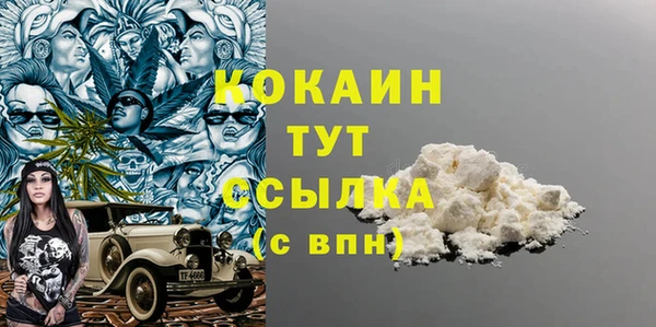 шишки Алзамай