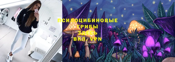 шишки Алзамай
